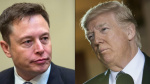 Trump to consider potential White House role for Musk WSJ Yahoo Finance Trump to consider potential White House role for Musk WSJ Yahoo Finance