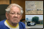 81yearold serial slingshot shooter found dead days after hes arrested for terrorizing neighborhood for a decade  New York Post 81yearold serial slingshot shooter found dead days after hes arrested for terrorizing neighborhood for a decade  New York Post