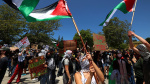 Police arrest 80 at IsraelHamas war protest at UC Santa Cruz school says  ABC News Police arrest 80 at IsraelHamas war protest at UC Santa Cruz school says  ABC News