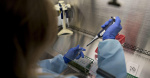 US to make millions of bird flu vaccine doses this summer as cases grow  CBS News US to make millions of bird flu vaccine doses this summer as cases grow  CBS News