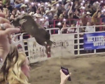 Oregon rodeo bull who jumped the fence exits the arena  for good  OregonLive