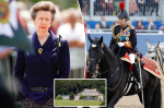 Princess Anne rushed to hospital after suffering head injuries  New York Post Princess Anne rushed to hospital after suffering head injuries  New York Post