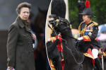 Princess Anne suffering memory loss after sustaining horserelated head injury report  New York Post Princess Anne suffering memory loss after sustaining horserelated head injury report  New York Post