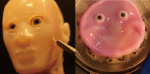 This smiling robot face made of living skin is absolute nightmare fuel  TechCrunch This smiling robot face made of living skin is absolute nightmare fuel  TechCrunch