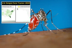 Dengue fever reported in Florida Keys in two locallyacquired cases  New York Post