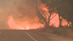 Thompson Fire in Butte County forces evacuations near Oroville  KCRA Sacramento