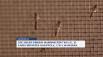 CDC issues Dengue warning Up to 16 cases reported on Long Island  News 12  Long Island