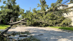Heat drives Texans to sleep in cars as Beryl spins tornadoes in New York Updates USA TODAY Heat drives Texans to sleep in cars as Beryl spins tornadoes in New York Updates USA TODAY