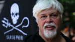 Veteran antiwhaling activist Paul Watson could be extradited to Japan after arrest in Greenland his foundation says  CNN