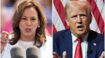 Democrats frustrated with poll showing voters see Trump as more moderate  The Hill Democrats frustrated with poll showing voters see Trump as more moderate  The Hill