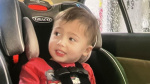 Remains of Elijah Vue Wisconsin toddler missing since February found in thick wooded area  CNN Remains of Elijah Vue Wisconsin toddler missing since February found in thick wooded area  CNN