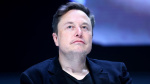 Elon Musk deletes post questioning the Trump assassination attempt  CNN
