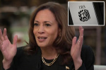 Kamala Harris wont say how shell pay for 17T spending plan in first solo interview with major news network  New York Post Kamala Harris wont say how shell pay for 17T spending plan in first solo interview with major news network  New York Post