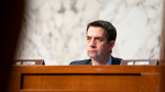 Cotton calls Trump special counsel filing a temper tantrum from a deranged fanatic  The Hill Cotton calls Trump special counsel filing a temper tantrum from a deranged fanatic  The Hill