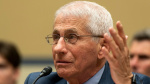 Fauci feared he would never return to normal after contracting West Nile virus  The Hill Fauci feared he would never return to normal after contracting West Nile virus  The Hill