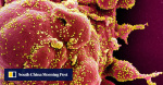 Chinese AI tool uncovers new viruses at the speed of a species per second paper  South China Morning Post Chinese AI tool uncovers new viruses at the speed of a species per second paper  South China Morning Post