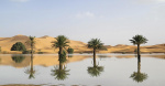 Rare deluge floods parts of the Sahara desert for the first time in decades  CBS News Rare deluge floods parts of the Sahara desert for the first time in decades  CBS News