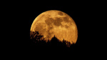 This Years Largest Supermoon Emerges TonightHeres What To Know About The Hunters Moon  Forbes