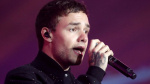 Questions remain as investigation into Liam Paynes fatal fall continues  CNN