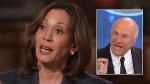 OLeary calls out Kamala Harris huge miss for her campaign This could have been a magic moment  Fox Business OLeary calls out Kamala Harris huge miss for her campaign This could have been a magic moment  Fox Business