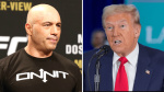 Trump and Joe Rogan sit for three hour interview  The Hill