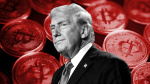 Bitcoin hits record high as Trump edges closer to full control of Congress  Financial Times