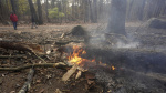 Fire crews on both US coasts battle wildfires 1 death in New YorkNew Jersey fire The Associated Press Fire crews on both US coasts battle wildfires 1 death in New YorkNew Jersey fire The Associated Press