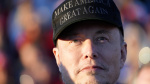 Elon Musks PAC spent an estimated 200 million to help elect Trump AP source says The Associated Press Elon Musks PAC spent an estimated 200 million to help elect Trump AP source says The Associated Press