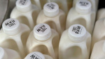 More testing underway after another California raw milk recall due to bird flu virus  CNN