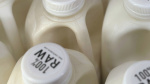 Raw milk recall in California expands after tests detect more bird flu virus The Associated Press Raw milk recall in California expands after tests detect more bird flu virus The Associated Press