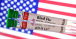 Exclusive US issues order mandating bird flu testing of milk supply  Reuters