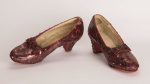 Pair of Judy Garlands ruby slippers from The Wizard of Oz sell at auction for 28 million  CNN