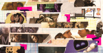 Polygons Best of 2024  Polygon Polygons Best of 2024  Polygon