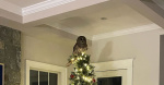 An owl came down a familys chimney and perched on their Christmas tree See the video  CBS News