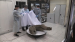 Russian scientists say worlds bestpreserved mammoth carcass is found  CNN Russian scientists say worlds bestpreserved mammoth carcass is found  CNN