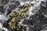 New Study Explains How Gold Reaches Earths Surface  Forbes New Study Explains How Gold Reaches Earths Surface  Forbes