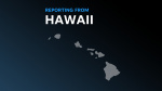 2 dead over 20 injured in Hawaii after massive explosion at NYE neighborhood celebration  USA TODAY