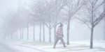 Cities that rarely get snow are getting more than a foot in frigid arctic outbreak  Business Insider Cities that rarely get snow are getting more than a foot in frigid arctic outbreak  Business Insider