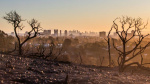 Winds in Southern California are expected to calm but the fire threat continues this week  CNN Winds in Southern California are expected to calm but the fire threat continues this week  CNN