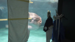 Sunfish that got sick after aquarium closed has recovered thanks to human cutouts The Associated Press Sunfish that got sick after aquarium closed has recovered thanks to human cutouts The Associated Press