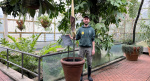 A flower blooms in Brooklyn and it reeks of rotting flesh Gothamist A flower blooms in Brooklyn and it reeks of rotting flesh Gothamist