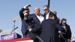 Trump names agent Sean Curran as Secret Service director The Hill Trump names agent Sean Curran as Secret Service director The Hill