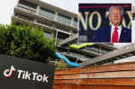 Trumps White House in talks to have Oracle US investors take over TikTok  New York Post Trumps White House in talks to have Oracle US investors take over TikTok  New York Post