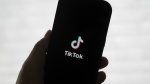 New bid for TikTok from Perplexity AI could give US government 50 stake The Associated Press New bid for TikTok from Perplexity AI could give US government 50 stake The Associated Press