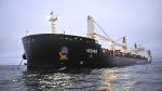 Sweden seizes vessel suspected of sabotage after undersea data cable rupture in Baltic Sea The Associated Press Sweden seizes vessel suspected of sabotage after undersea data cable rupture in Baltic Sea The Associated Press
