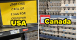 People Cannot Believe The Price Of Eggs In Canada Compared To The US  Yahoo Voices
