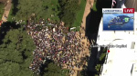 Watch Hundreds protest President Donald Trumps policies at California Capitol  KCRA Sacramento Watch Hundreds protest President Donald Trumps policies at California Capitol  KCRA Sacramento