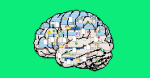 Researchers trained an OpenAI rival in half an hour for less than 50  The Verge Researchers trained an OpenAI rival in half an hour for less than 50  The Verge