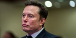 Elon Musk says he has not bid on TikTok I usually build companies from scratch Business Insider Elon Musk says he has not bid on TikTok I usually build companies from scratch Business Insider