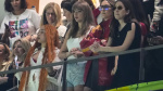 No onfield kisses for Taylor Swift and Travis Kelce at this Super Bowl The Associated Press No onfield kisses for Taylor Swift and Travis Kelce at this Super Bowl The Associated Press